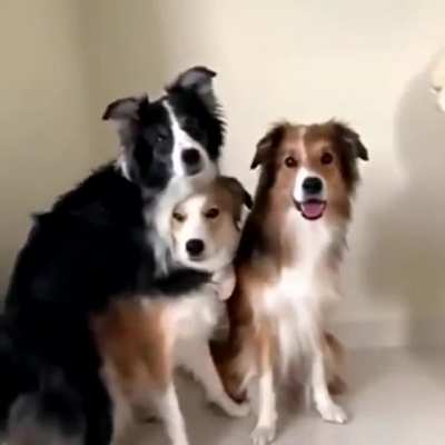 Guys, guys, it's picture time. Get closer. A little closer. Now smile!
