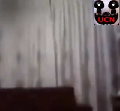 screamers in FNAF custom night be like
