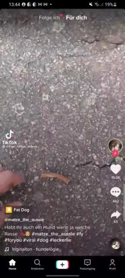 Rico rico