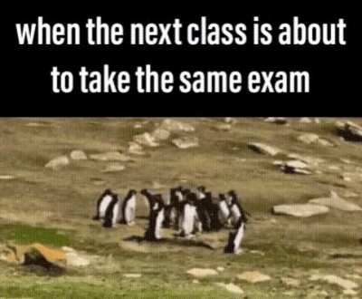 "you can do it, guys"