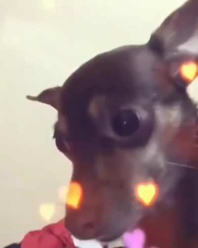 Beijinho
