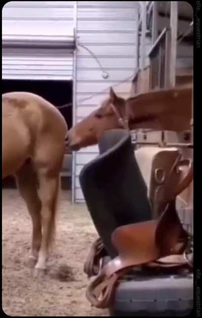 harasssment
