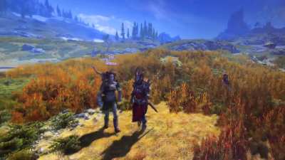 This is the best little change that has made the game so much more fun for me. Having more then one follower is just so fun. Reminds me of Dragon&rsquo;s Dogma.