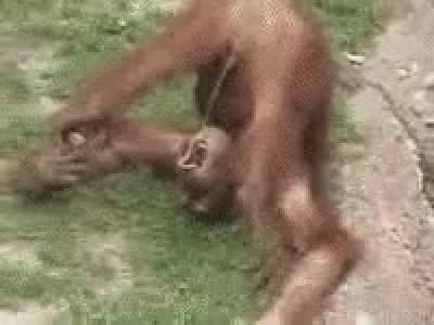 NSFW- He's thirsty?