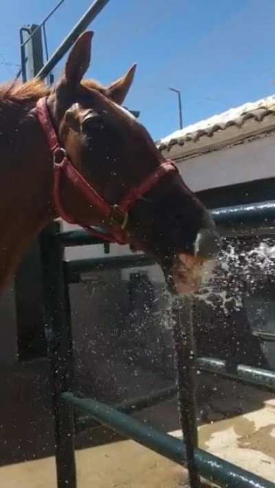 Thirsty boy