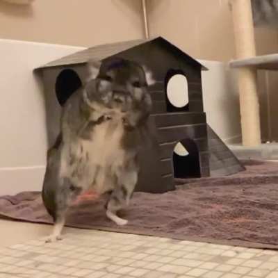 Instagram is loving Boba&rsquo;s slo mo popcorn videos!