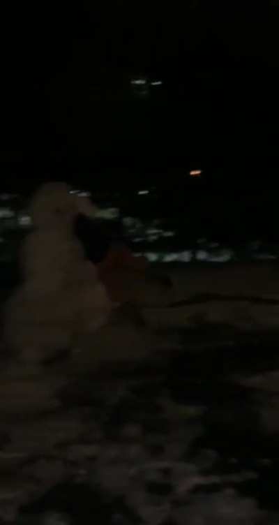 Snowman fights back against attacker (OC)