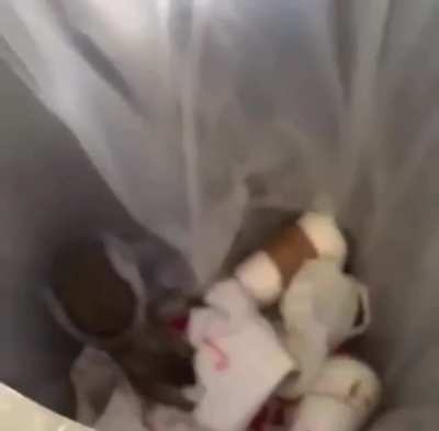 Don&rsquo;t look into trash cans
