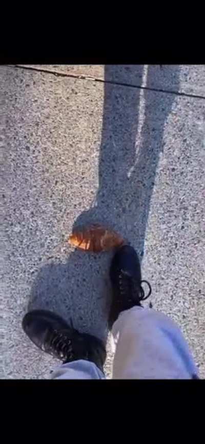 croissant
