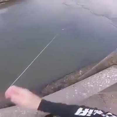 Maximum Accuracy