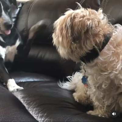 Wait for it...