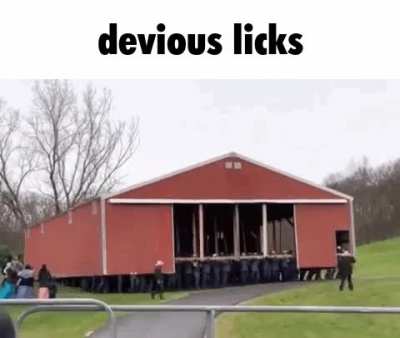 tiktok trend funny