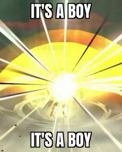 VEGETA NO