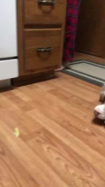 Franklin vs Lemon