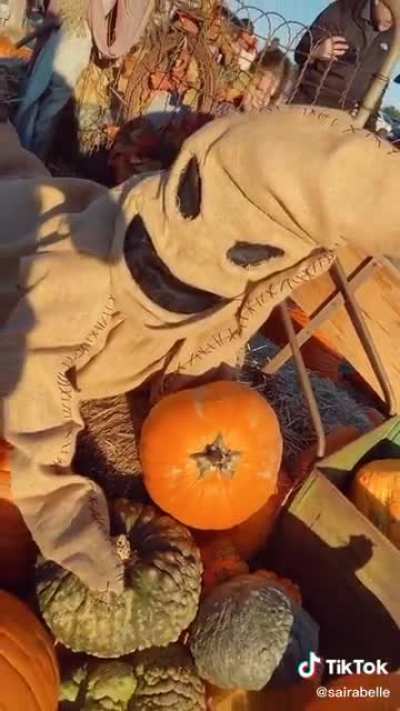 Happy Spook day 🧡🎃
