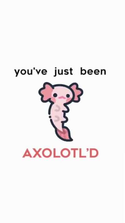 Axolotl&rsquo;s Rule