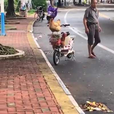 Well that's something you don't see every day!