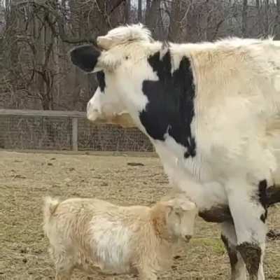 That's so cute