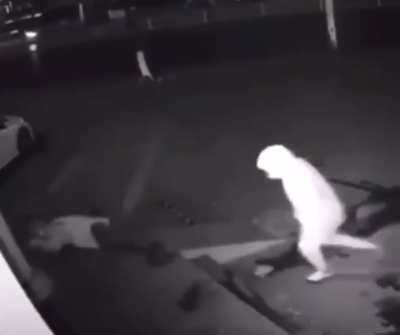Experts breaking into a store