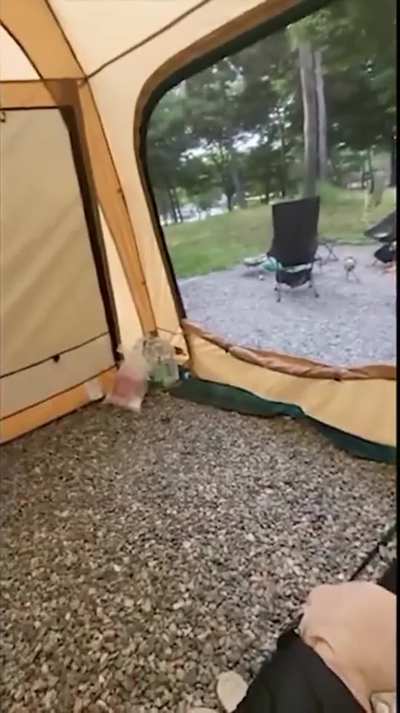 Fucked while camping
