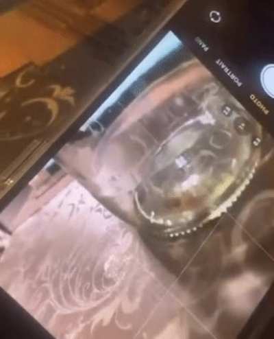 Spiders can see the &ldquo;invisible&rdquo; laser used in iPhone cameras!