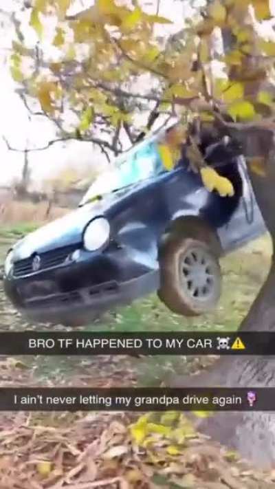 🚗🚗🪳😭😭😭🏴&zwj;☠️