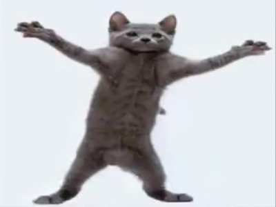 STFU and poke it out wit da cat😤
