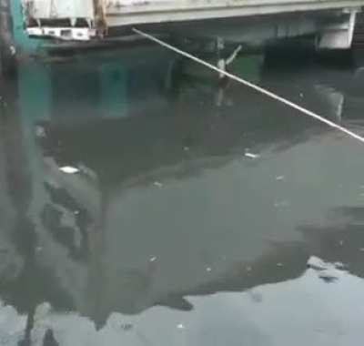 Pescadores do asfalto!