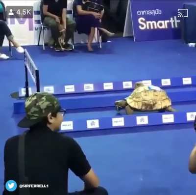 Maybe Maybe Maybe