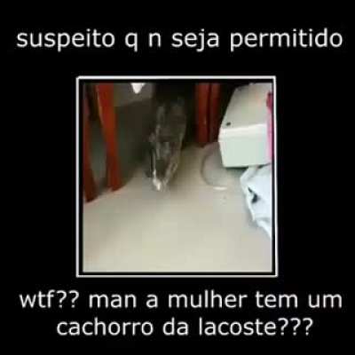 Essa marca de cachorro &eacute; agressiva