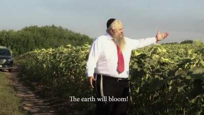 Chief Rabbi Of Ukraine Moshe Azman. My gift for Ukraine's Independence Day, the song "Ray of the Sun"