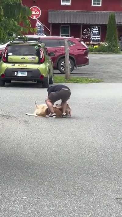 "Come on buddy, you&acirc;re embarrassing me&acirc;