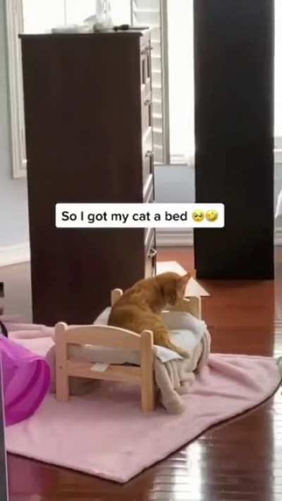 her new bed..