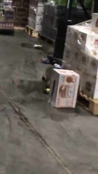 Drinking while working.