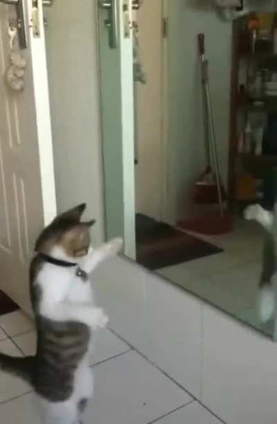 Shadow boxing done right
