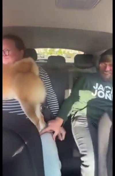 Look, don&rsquo;t touch