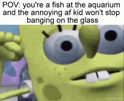Read the "no touching the glass" signs