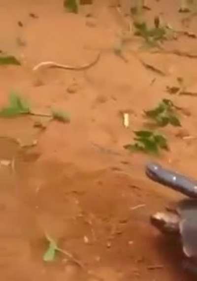 ....