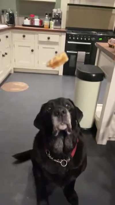 Oscar&rsquo;s reflexes aren&rsquo;t what they used to be