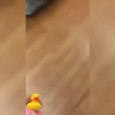 She mad at little kid's squeaky shoes