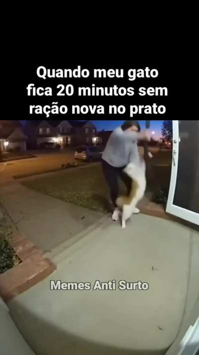 IA t&aacute; produzindo v&iacute;deos absurdos. Esse neg&oacute;cio de IA, mas n&atilde;o FOI &eacute; um equ&iacute;voco