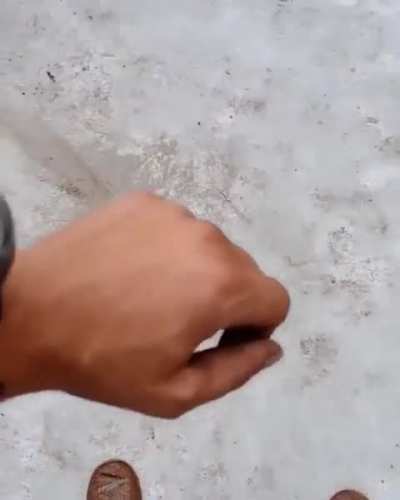 Wrist check 