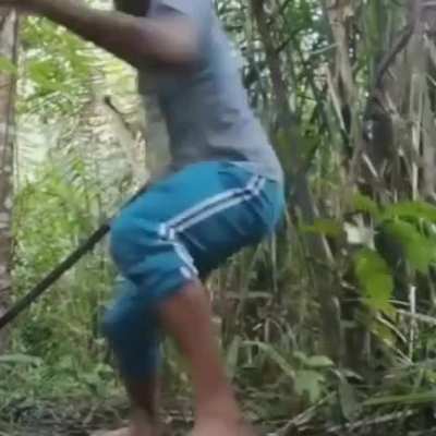 bom dia, galera