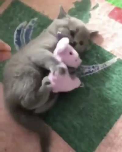 touch tha toy