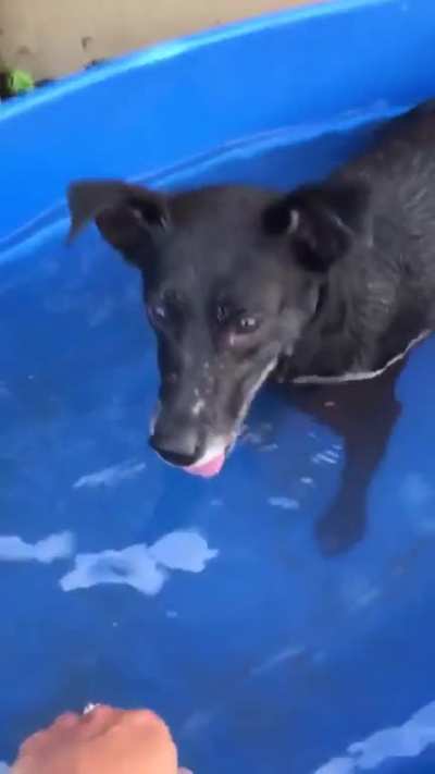 Bath time