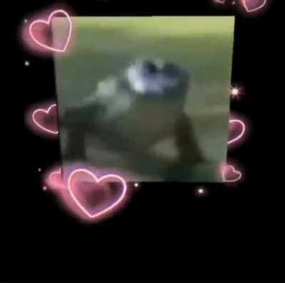 🐊👉👈