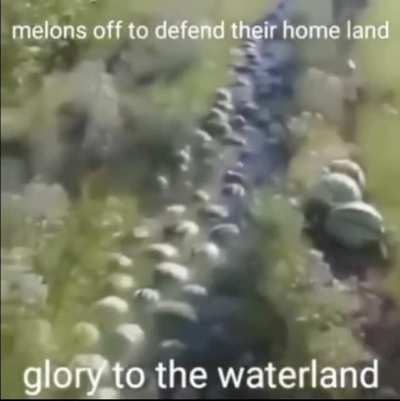For honor and glory men