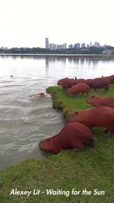Maybe Maybe Maybe