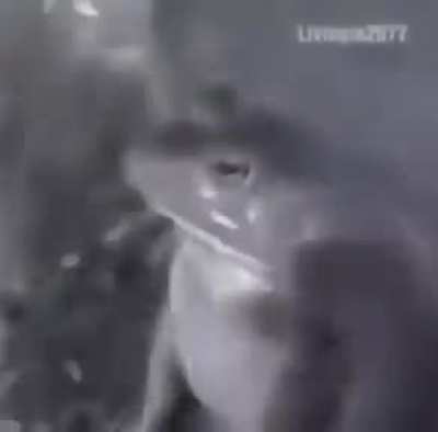 Dun Dun Dun