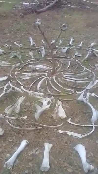Тюмень